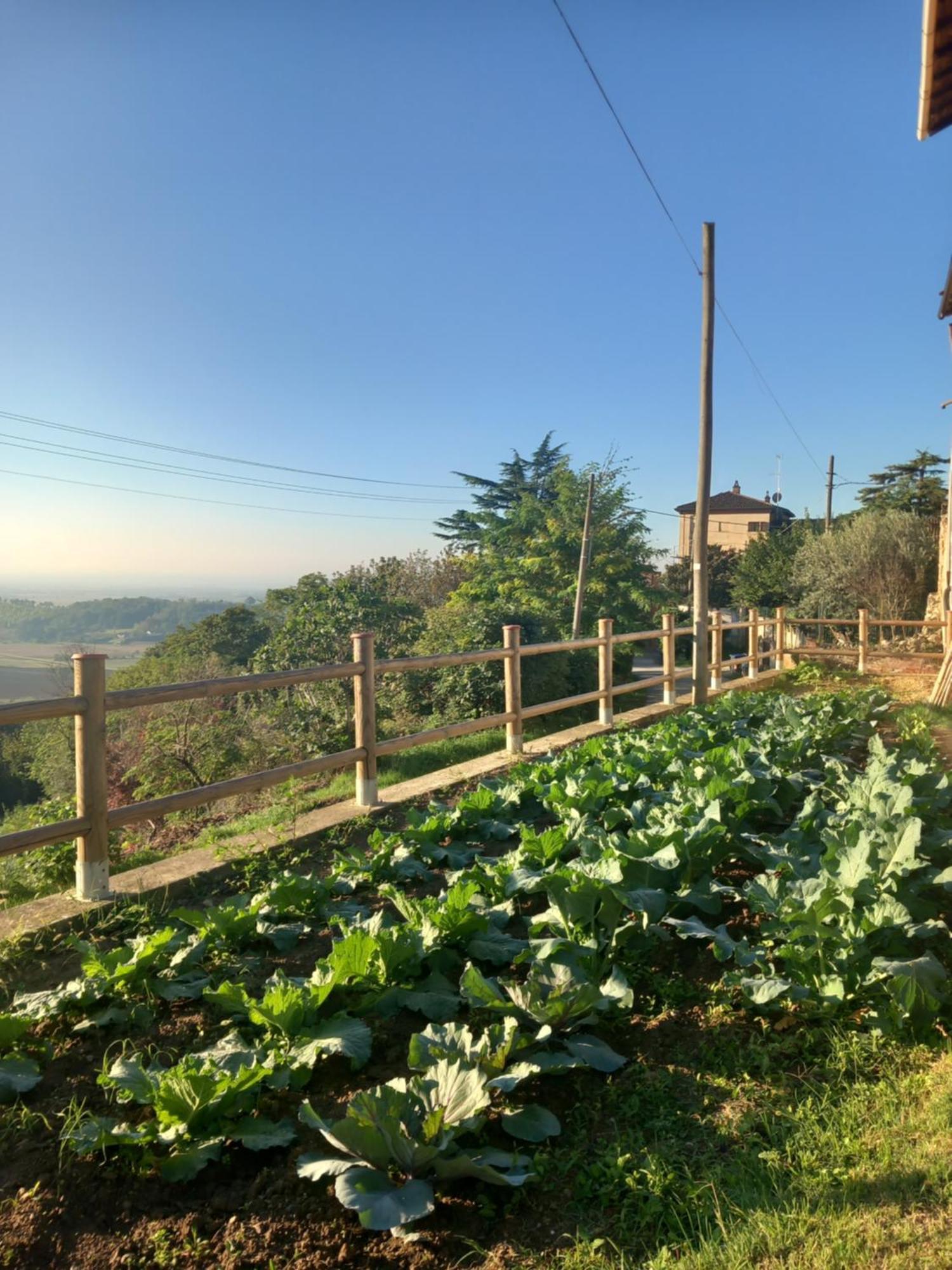 Bed and Breakfast Il Cortile Di Greta Lu (Piedmont) Екстер'єр фото